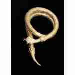 18 Metal Gold Snake
