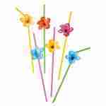 6 Hawaii Straws