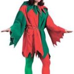 Adult Elf costume