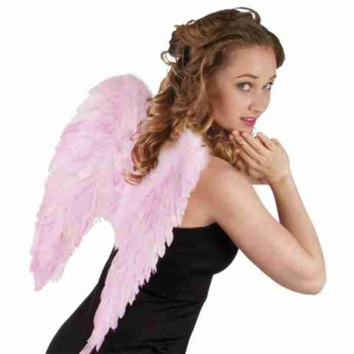 Angel Wings Folded Baby Pink1