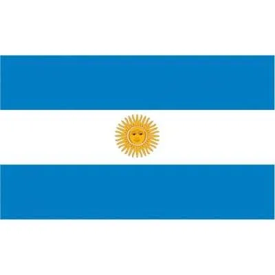 Argentina Flag 9066193