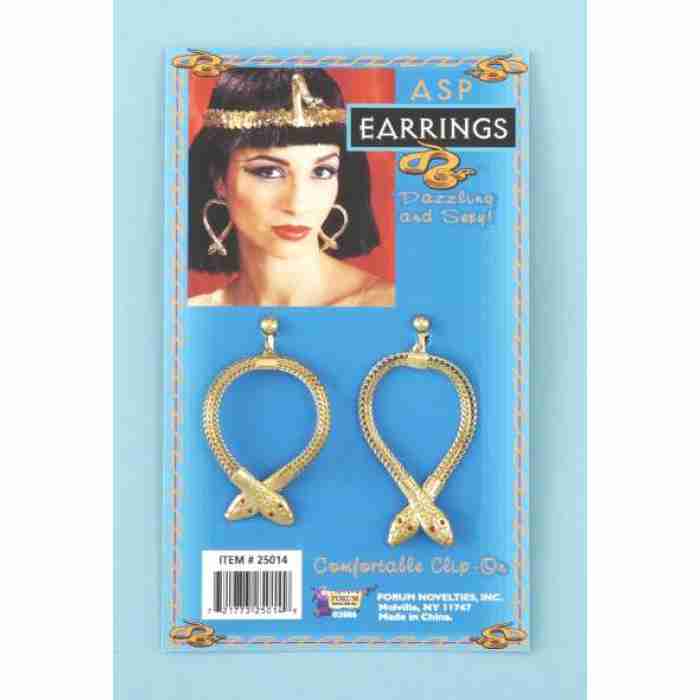 Asp Earrings Metal img