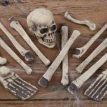 Bag of Bones