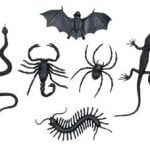 Bag of Creepy Creatures