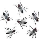 Bag of Flies