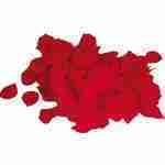 Bag of Rose Petals