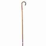 Bamboo Cane 36in. Long