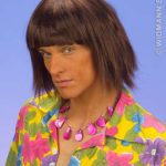 Beach Boys Wig, Brown