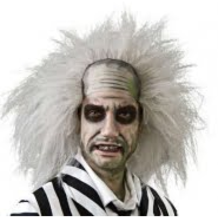 BeetleJuice Wig img