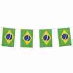 Brazil Polyester Bunting