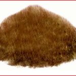 Brown Chinbeard