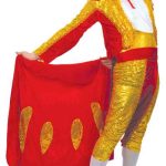 Bullfighter