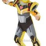 Bumblebee Deluxe