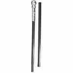 Cane Silver Ball Handle