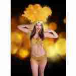 Carnival & ShowGirls Feather Headdress -Gold