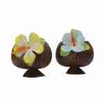 Coconut Cup and Straw - Assorted Colours