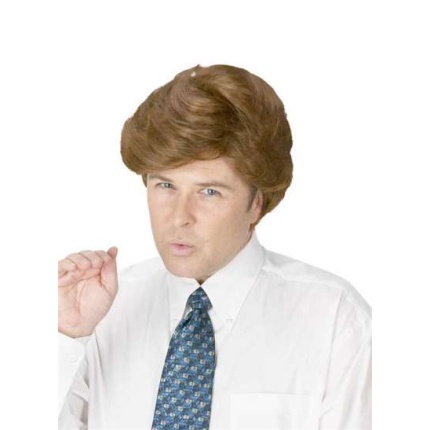 Comb Over Candidate Wig 5404444 img