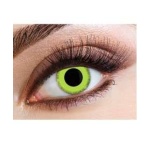 Contact Lens Grinch