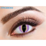 Contact Lens Lizard Purple