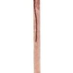 Cousin Bob Head on a Stake