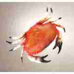 Crab