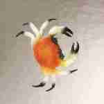 Crab