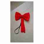 Crazy Cat And Bow Tie