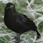 Crow