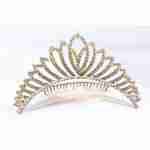 Crown Tiara With Crystals - Leaf Shaped