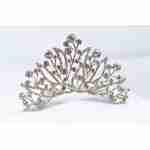 Crown Tiara With Rhinestones - Branch Shaped