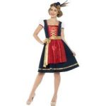 Dirndl Bavarian Costume