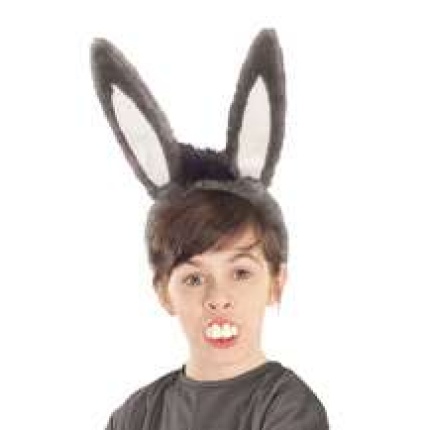 Donkey ears and teeth 7275xl img