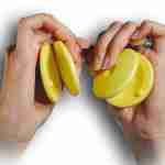 Double Castanet