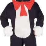 Dr Seus The Cat in The Hat Costume