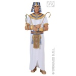 Egyptian Pharoah XL