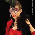 Elegance Eyemasks with Feathers and Stick - Red/Silver