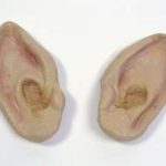Elf Ears