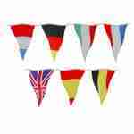 European Flag Bunting