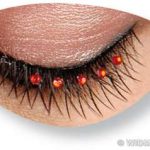 Eyelashes - Black Cross-Over - Red
