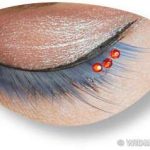 Eyelashes - Black Peaked - Orange