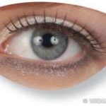 Eyelashes - Blacked Spiked