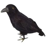 Feather Crow