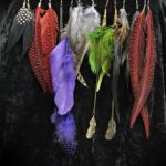 Feather Earrings