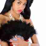 Feather Fan