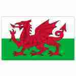 Flag Wales