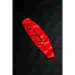 Flashing Sash Hen Party
