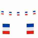 France Flag Garland
