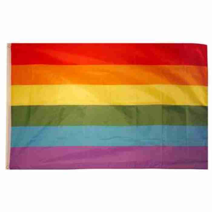 Gay Pride Flag F77193