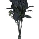 Ghost Flower