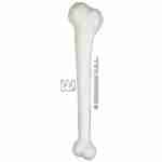 Giant Bone